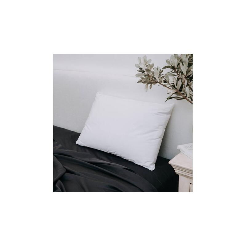 Protectiva Cotton Bamboo Stretchknit Pillow Protector - Euro