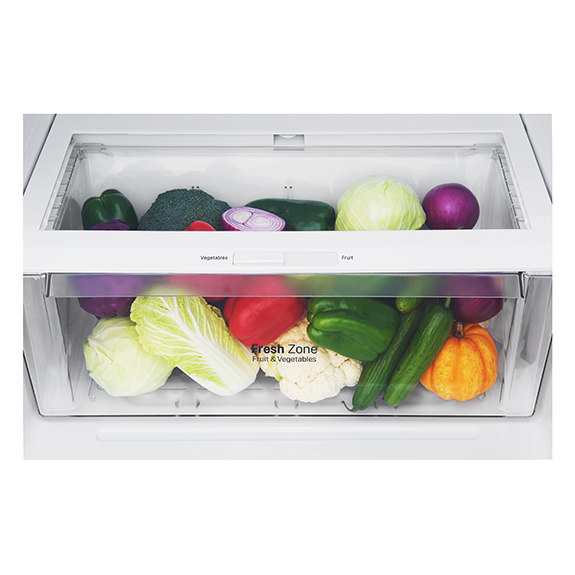 LG 410 Litre Top Mount Refrigerator - White
