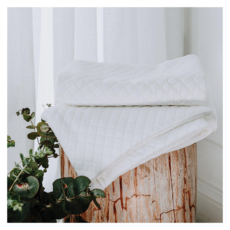 Sleepwise Pillow Protector - Standard Size