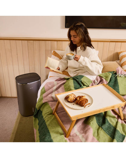 Breville the All Climate 2-in-1 Dehumidifier & Purifier