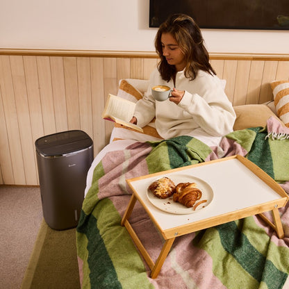 Breville the All Climate 2-in-1 Dehumidifier & Purifier