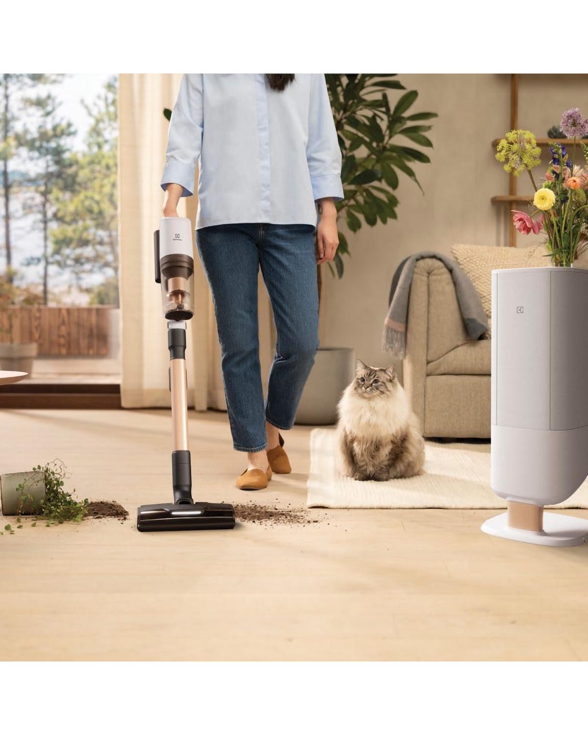 Electrolux 800 Cordless Cleaner All Surface