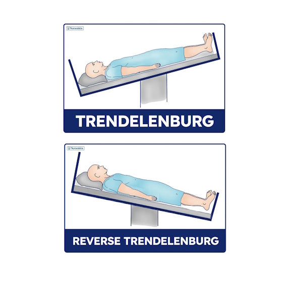 AVANTE ErgoAdjust Lo-Lo Adjustable Bed Base - Long Double
