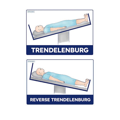 AVANTE ErgoAdjust Lo-Lo Adjustable Bed Base - Long Double