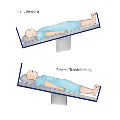 AVANTE ErgoAdjust Lo-Lo Adjustable Bed Base - Queen