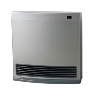 RINNAI HEATER GAS