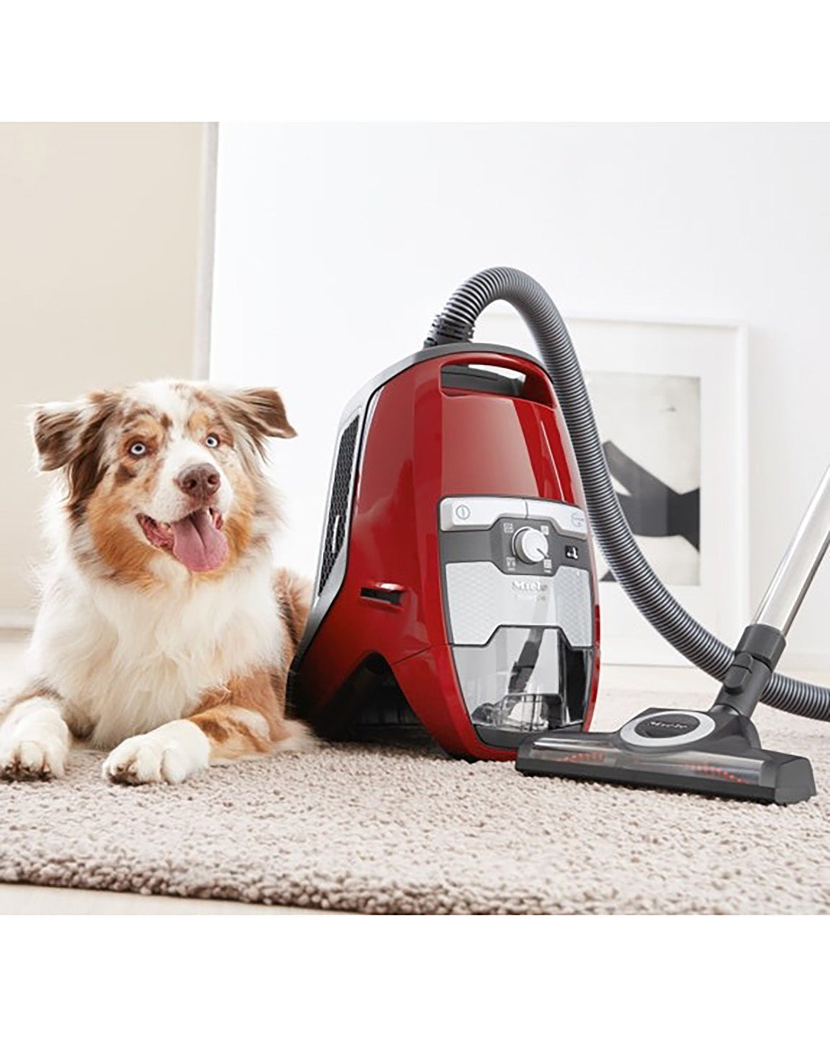 Miele Blizzard CX1 Cat & Dog Bagless Vacuum Cleaner - Autumn Red